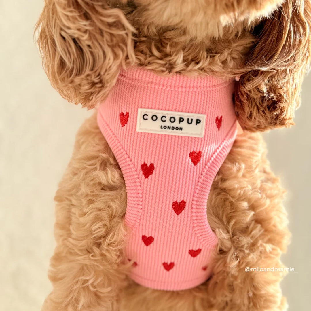 Cocopup Pink Heartstrings Cord Harness