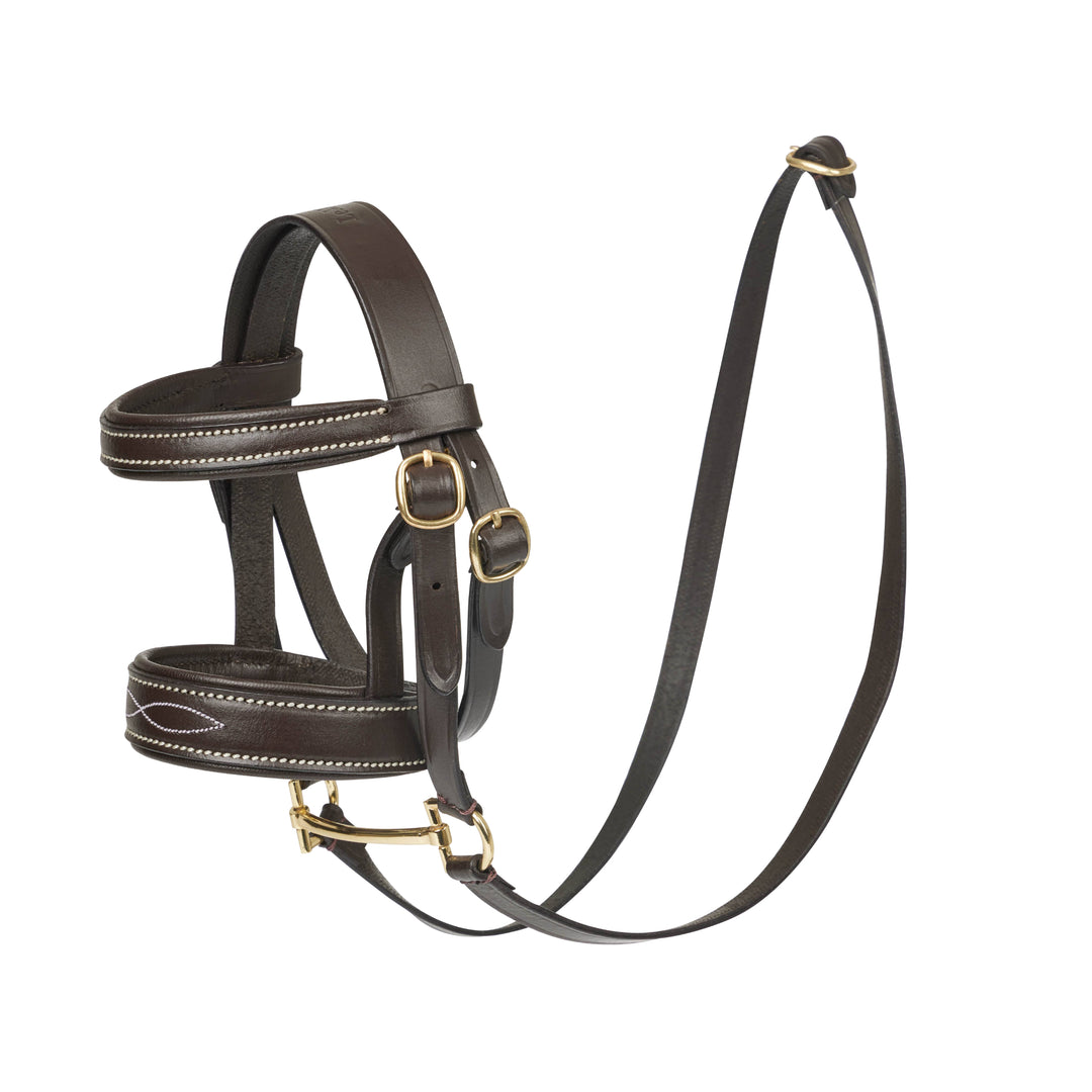 The LeMieux Pony Bridle in Brown#Brown