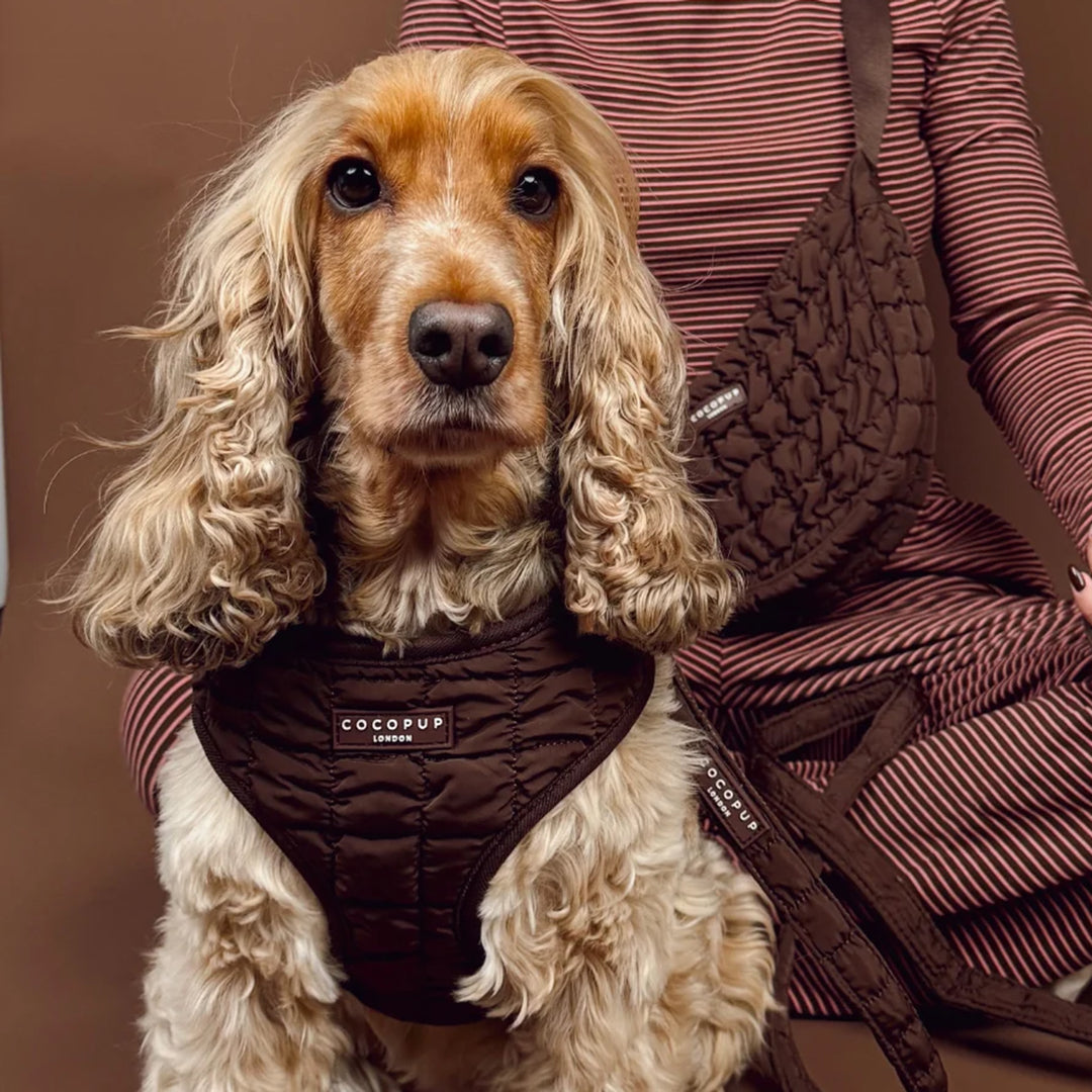 Cocopup Espresso Quilted Harness