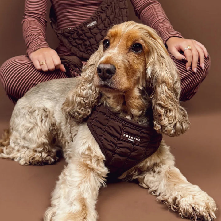 Cocopup Espresso Quilted Harness