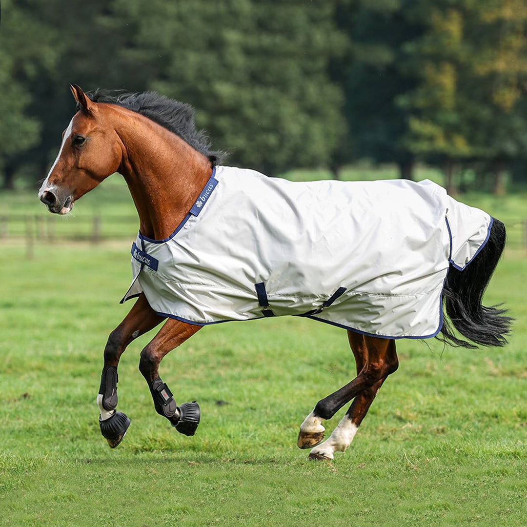 Bucas Sun Shower Turnout Rug