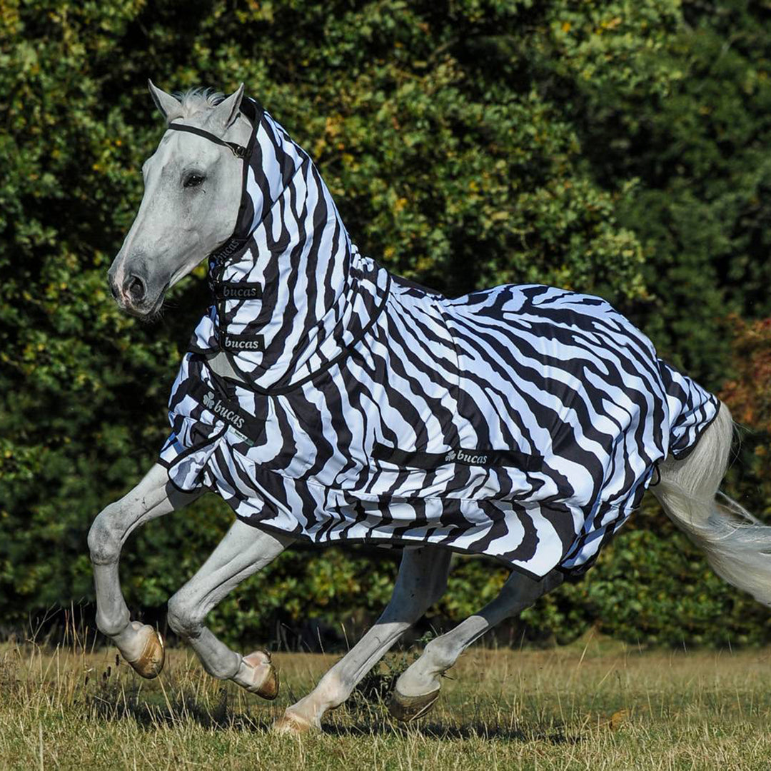 Bucas Zebra Sweet-Itch Rug