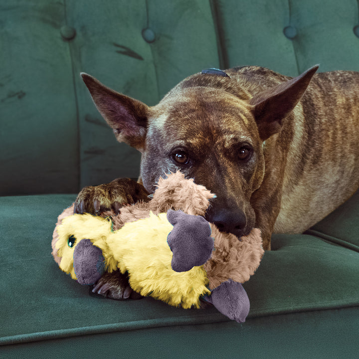 KONG Comfort Tykes Gosling Dog Toy