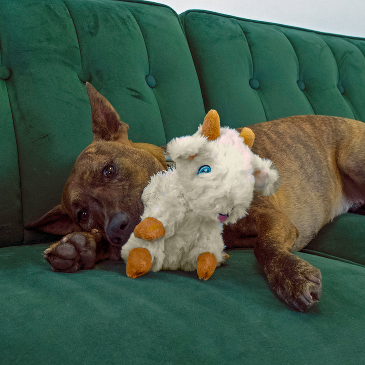 KONG Comfort Tykes Goat Dog Toy