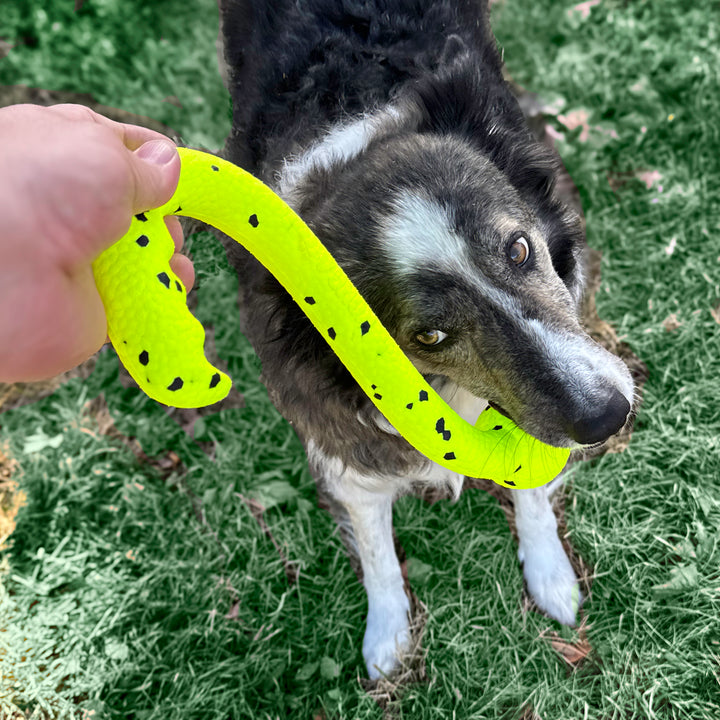 KONG Reflex Tug & Fetch Dog Toy