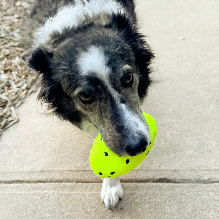 KONG Reflex Football Dog Toy