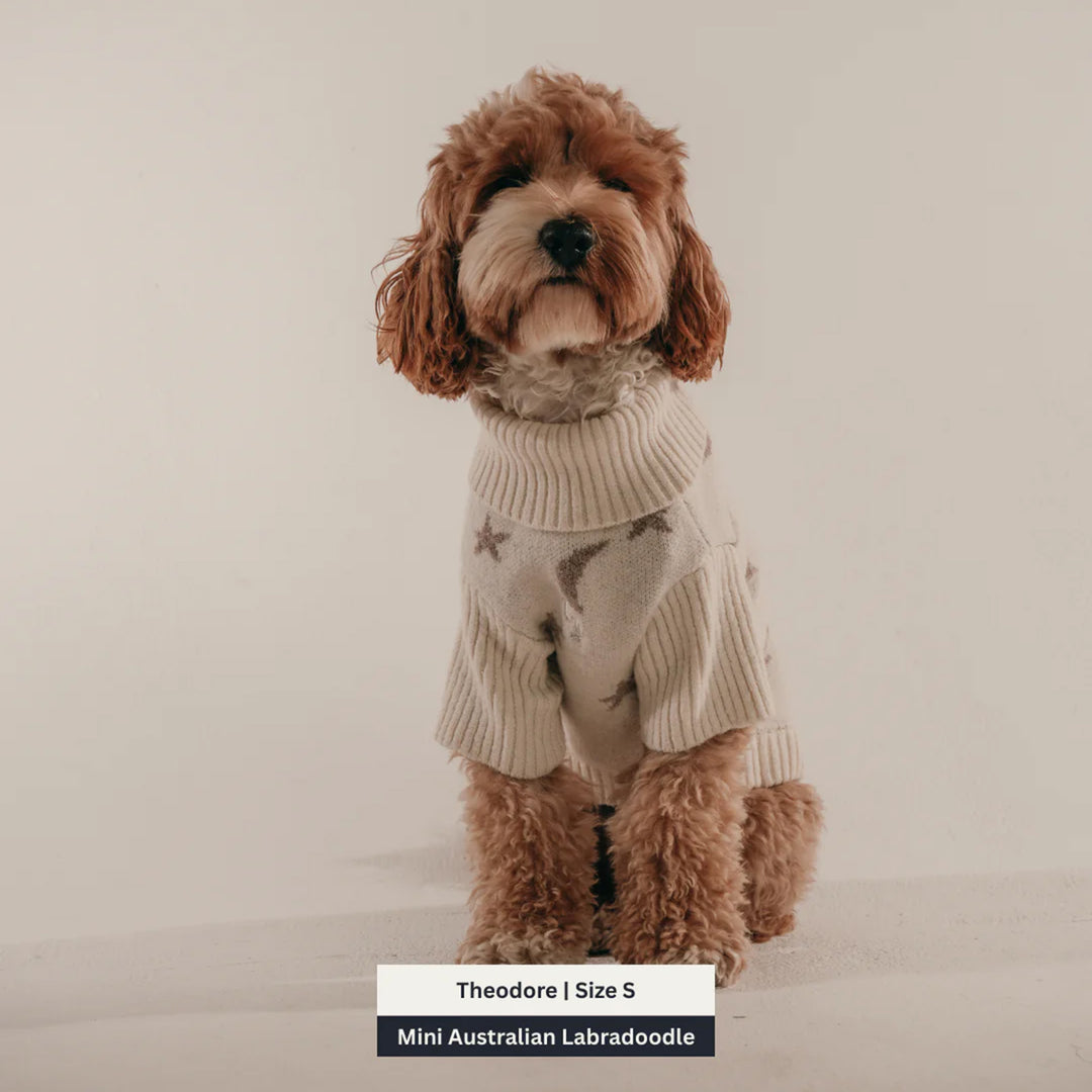 By Teddy Roll Neck Dog Knit