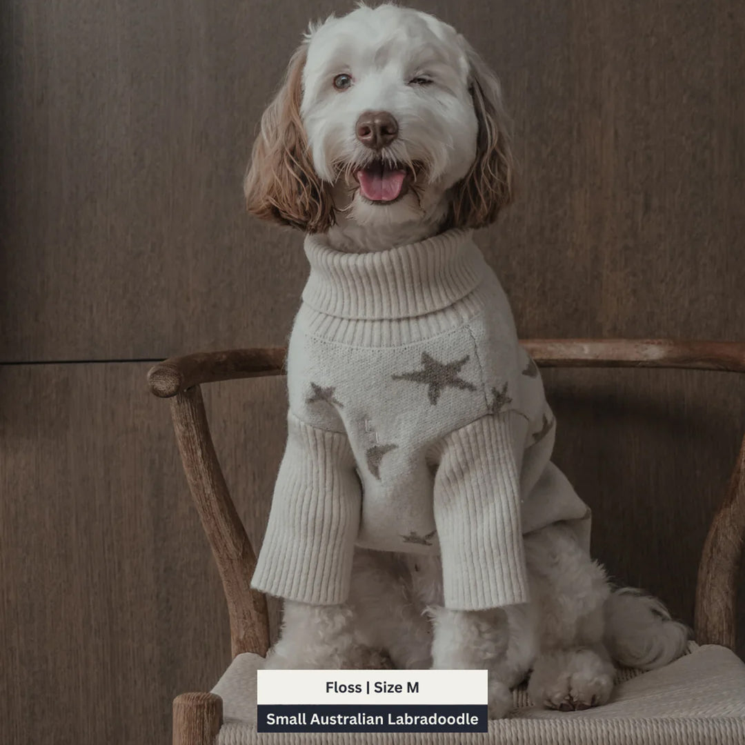 By Teddy Roll Neck Dog Knit