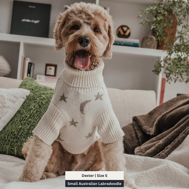 By Teddy Roll Neck Dog Knit