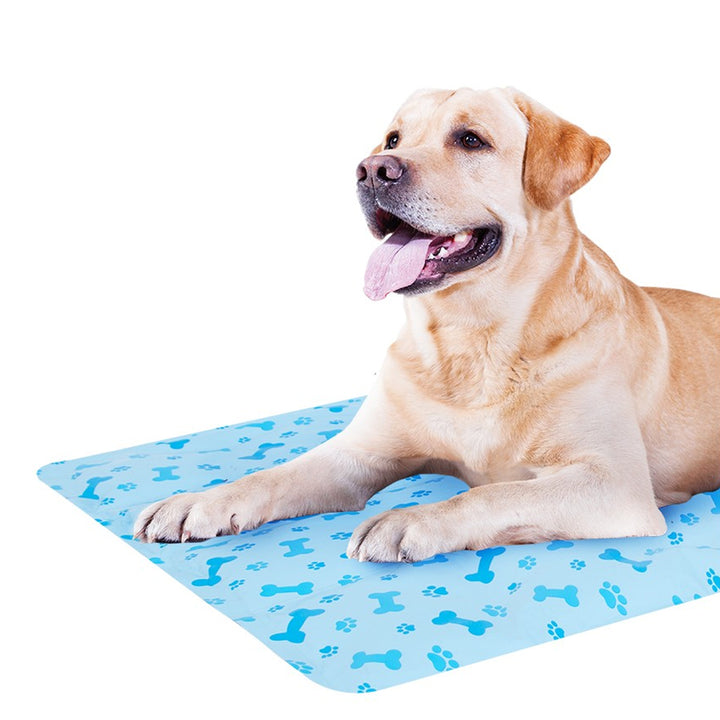 Smart Choice New Pet Cooling Mat