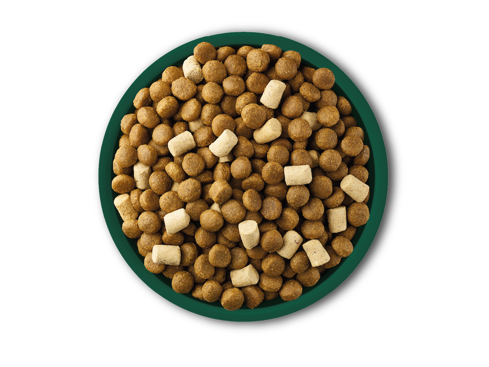 Natures Menu Raw Boost with Pork & Lamb