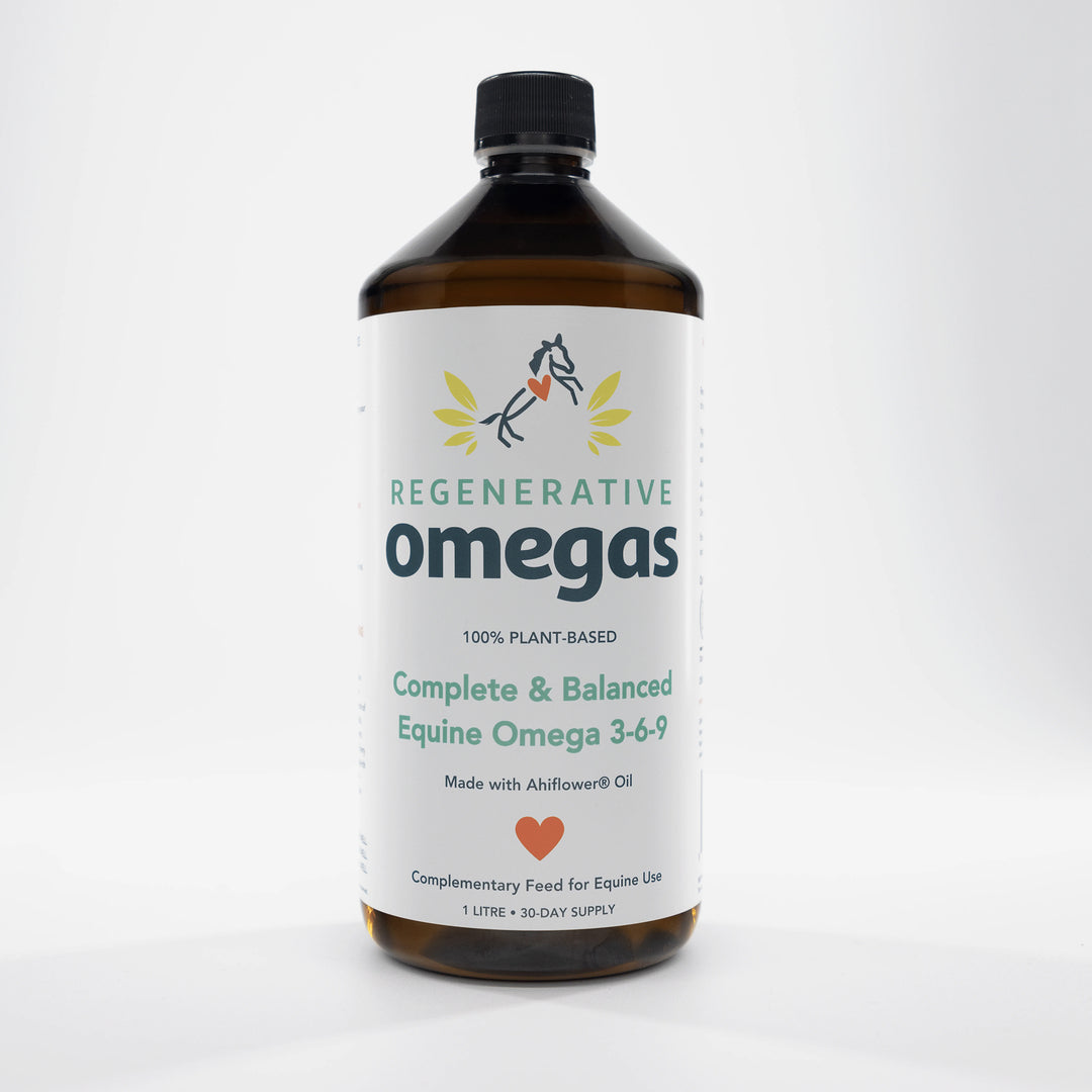 Regenerative Omega Equine