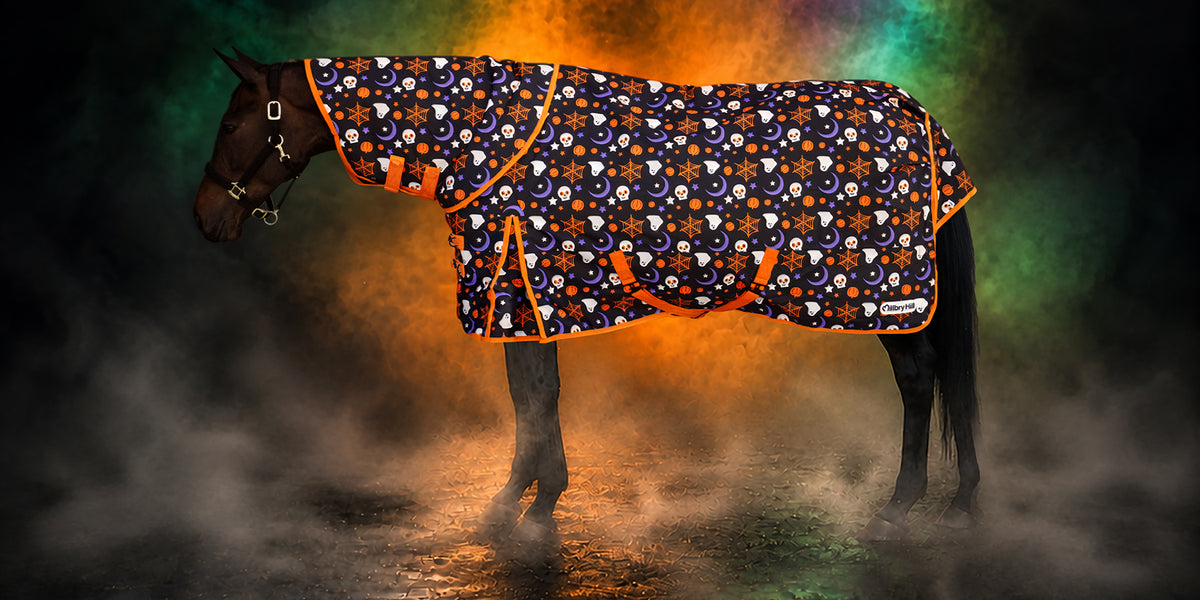 Horse wearing the new Millbry Hill Halloween rug
