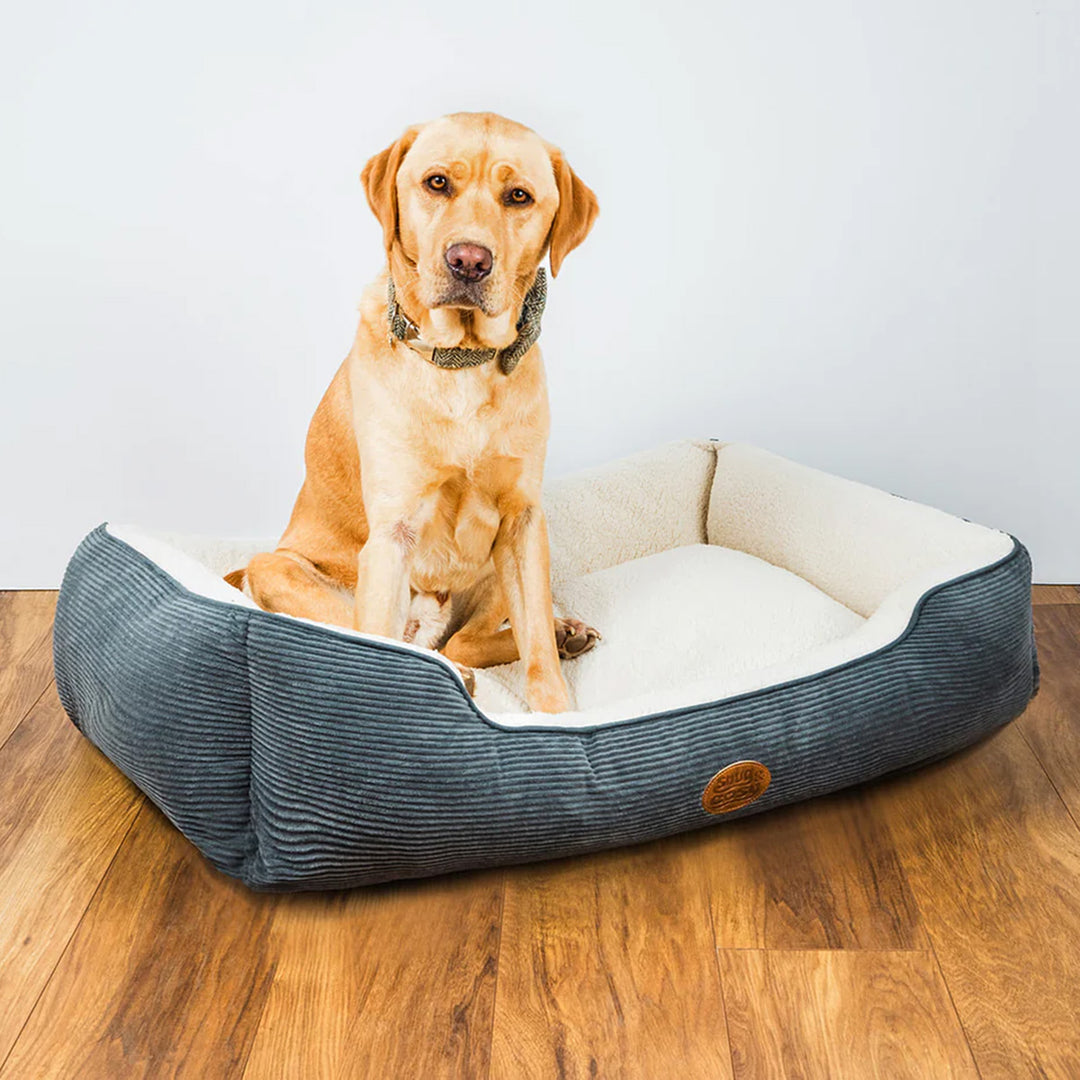Snug & Cosy Malvern Rectangle Dog Bed