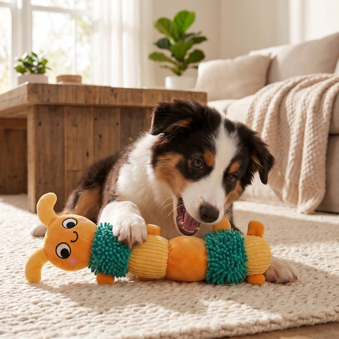 Smart Choice 3 Squeaker Plush Dog Toy