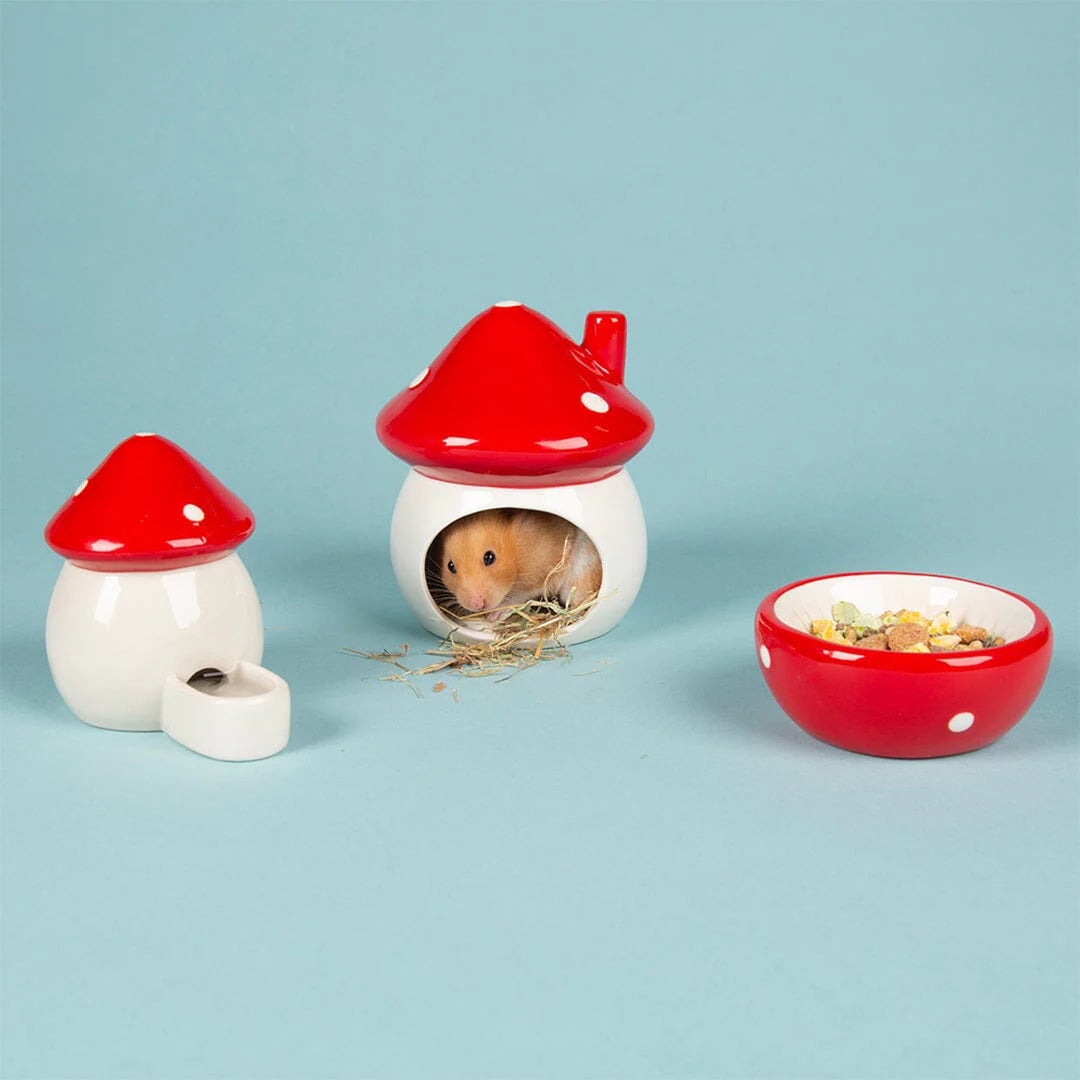 Scruffs Small Animal Ceramic Set