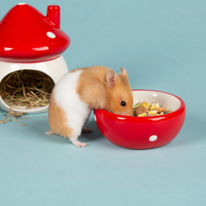 Scruffs Small Animal Ceramic Set