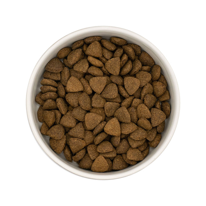 Millbry Hill Superfood 65 Angus Beef