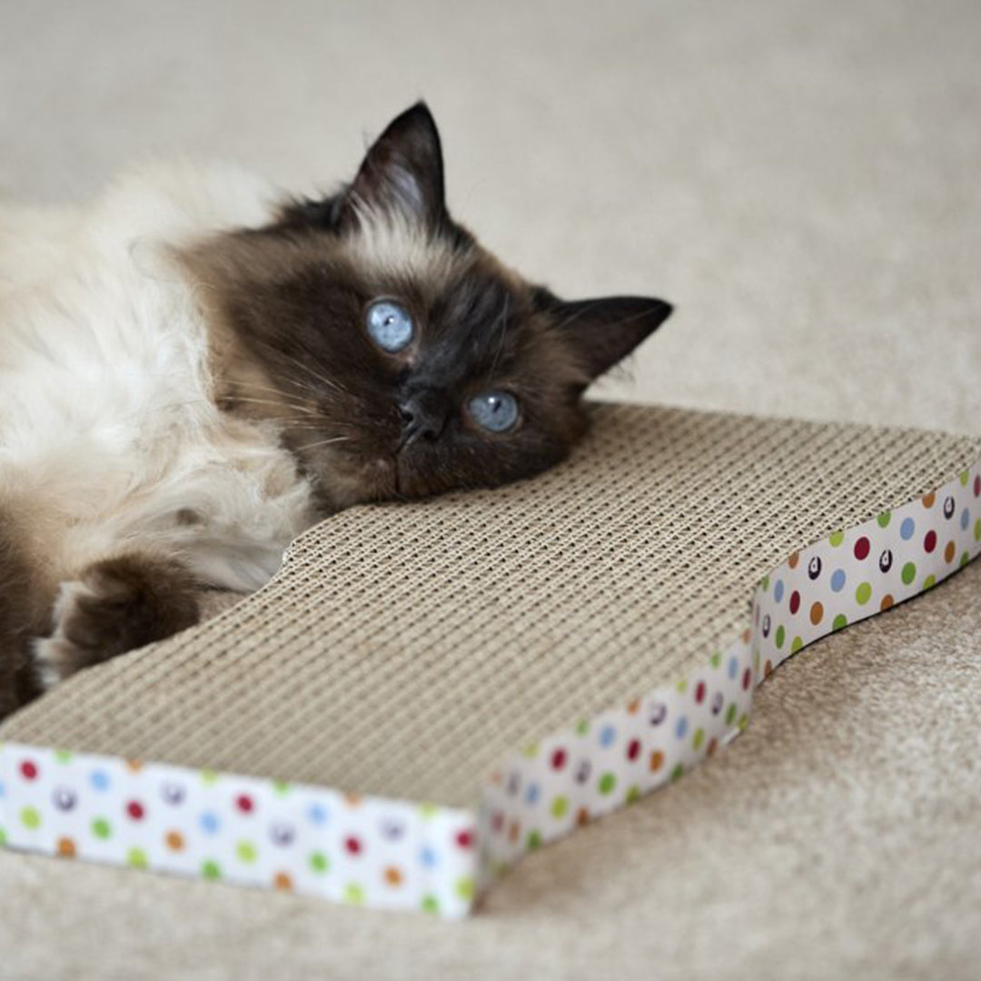 PetFace Catkins Cardboard Wave Cat Scratcher