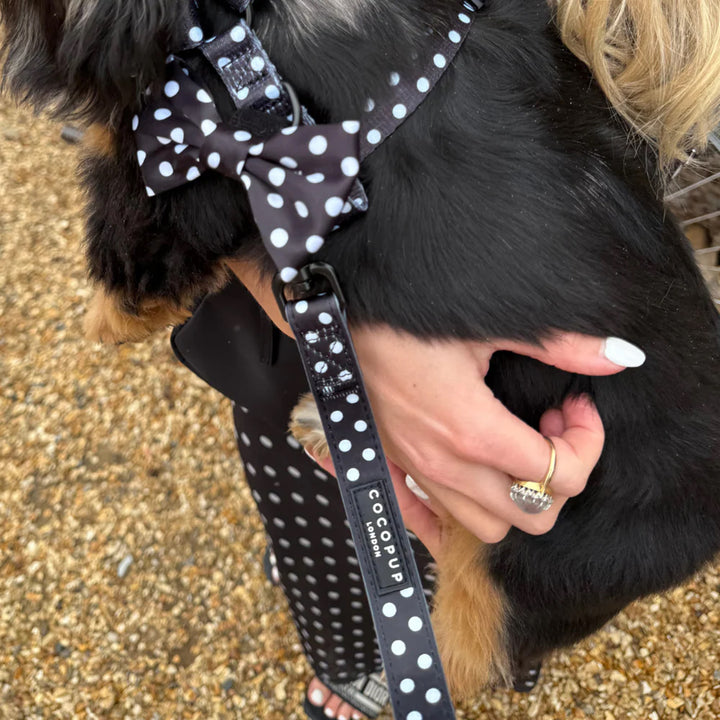 Cocopup Dog Satin Polka Dot Lead