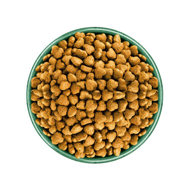 James Wellbeloved Senior Chicken & Rice Dry Dog Food