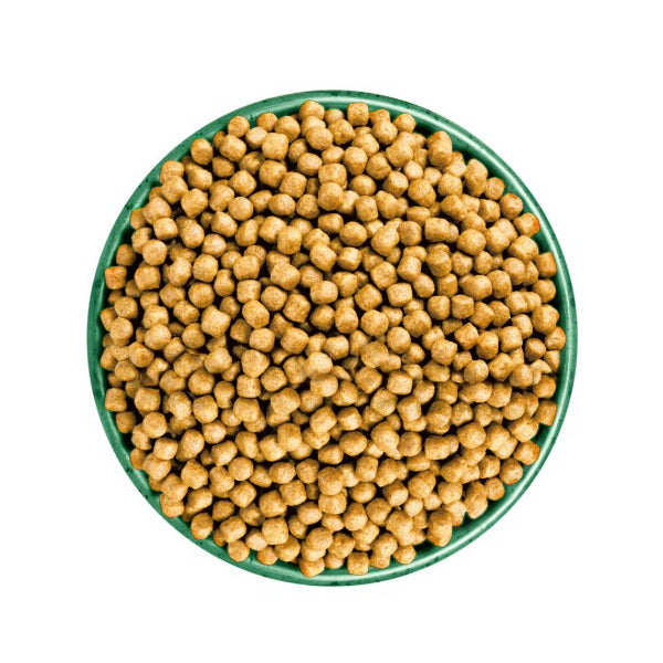 James Wellbeloved Kitten Fish & Rice Dry Cat Food