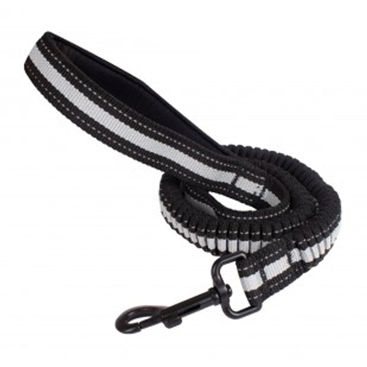 Smart Choice Shock Absorbing Dog Lead