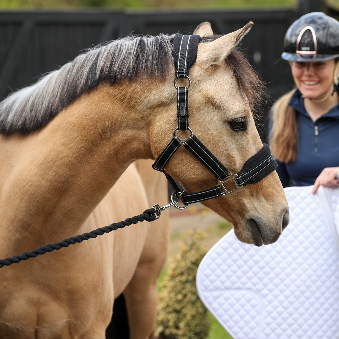 Equilibrium Stella Style Headcollar