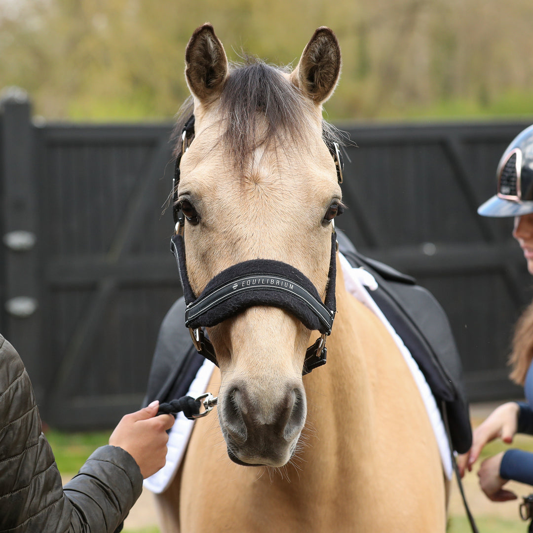 Equilibrium Stella Style Headcollar