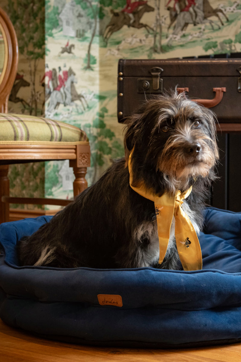 Shop the Look: Style your dog with Joules