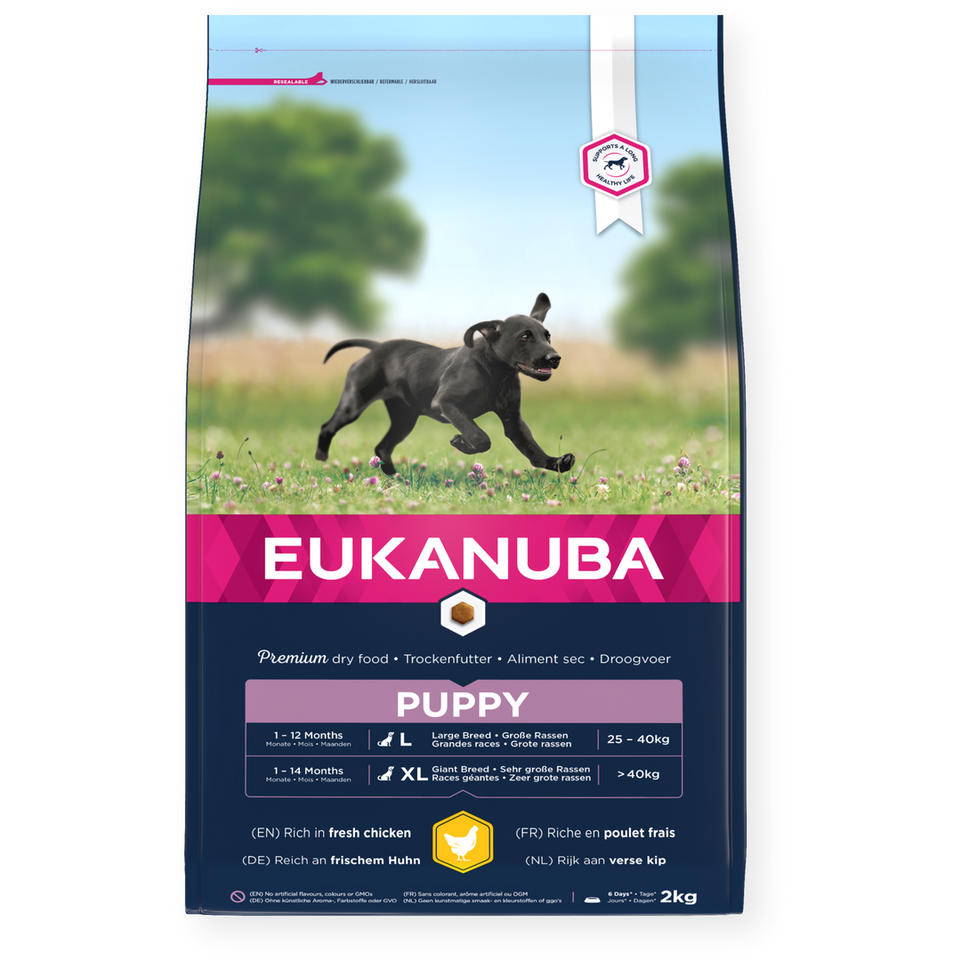 Eukanuba Puppy Large Breed Dog Food with Chicken