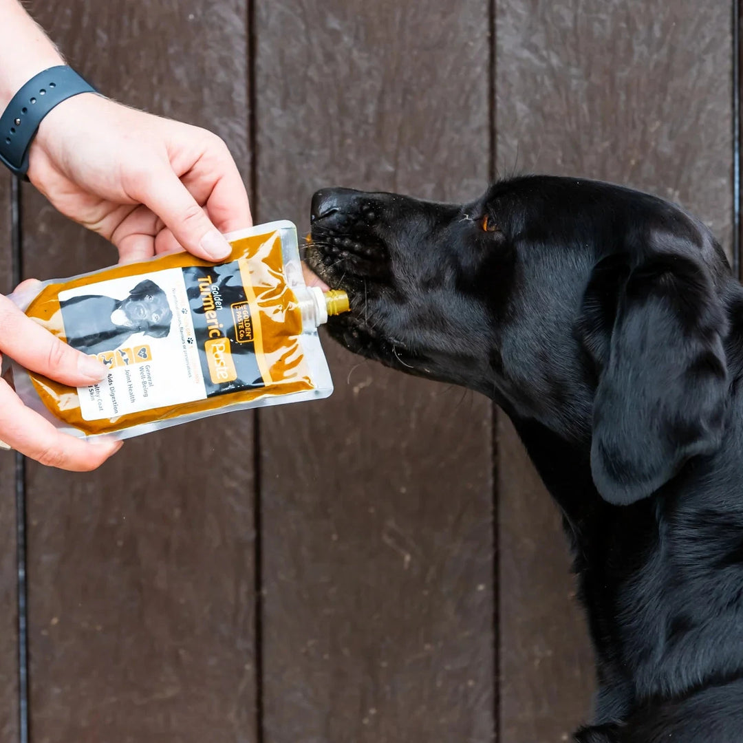 The Golden Paste Company Turmeric Golden Paste for Pets