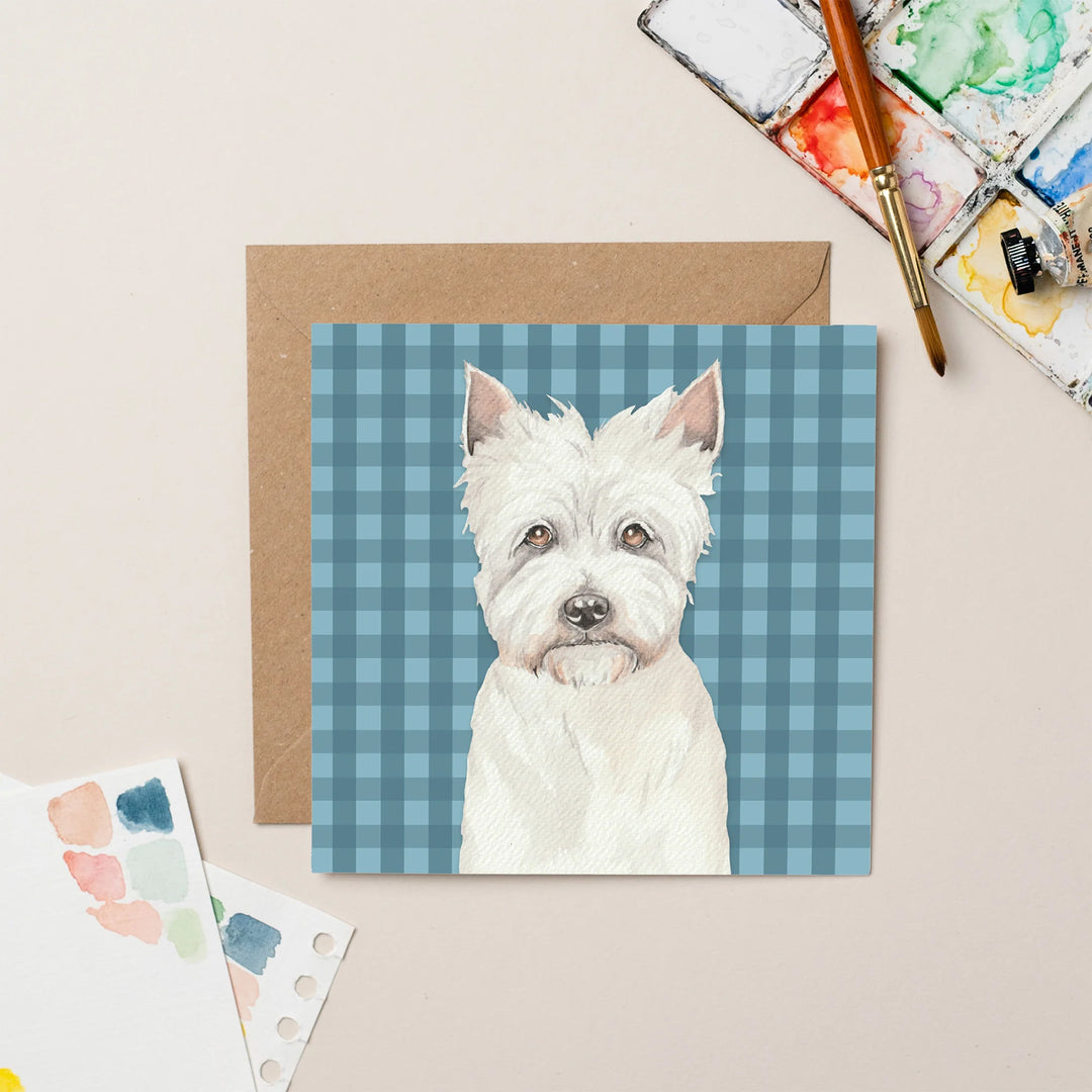 Lil Wabbit Westie - Toby