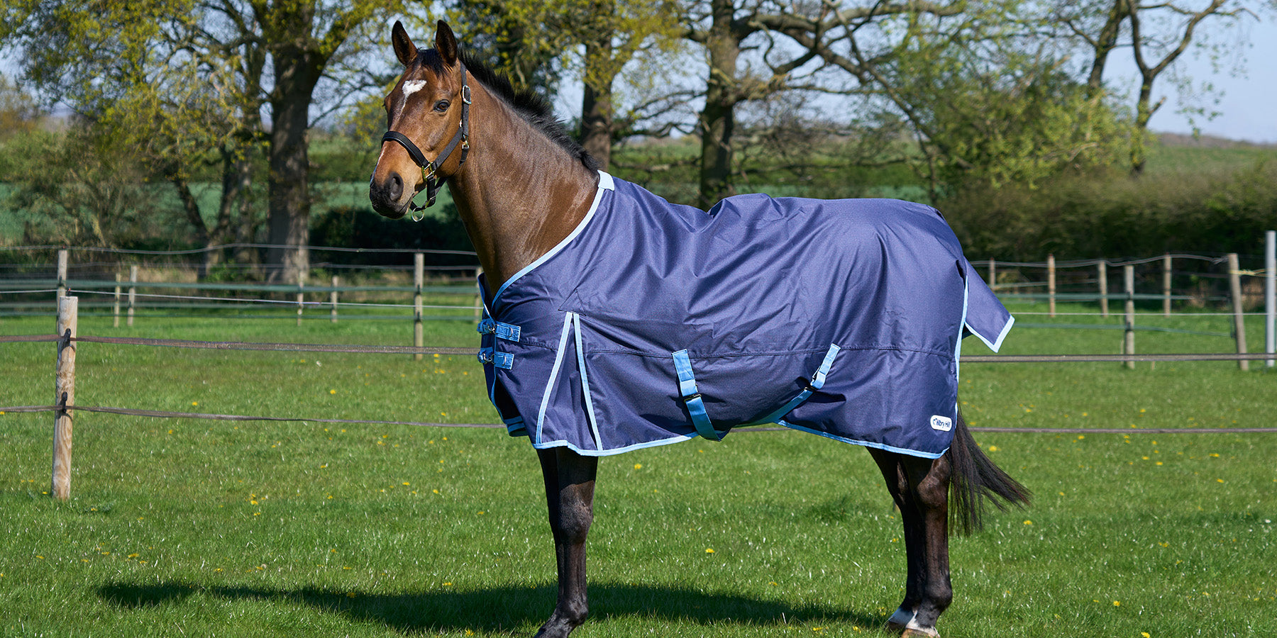 A horse stood in a field wearing a Millbry Hill turnout