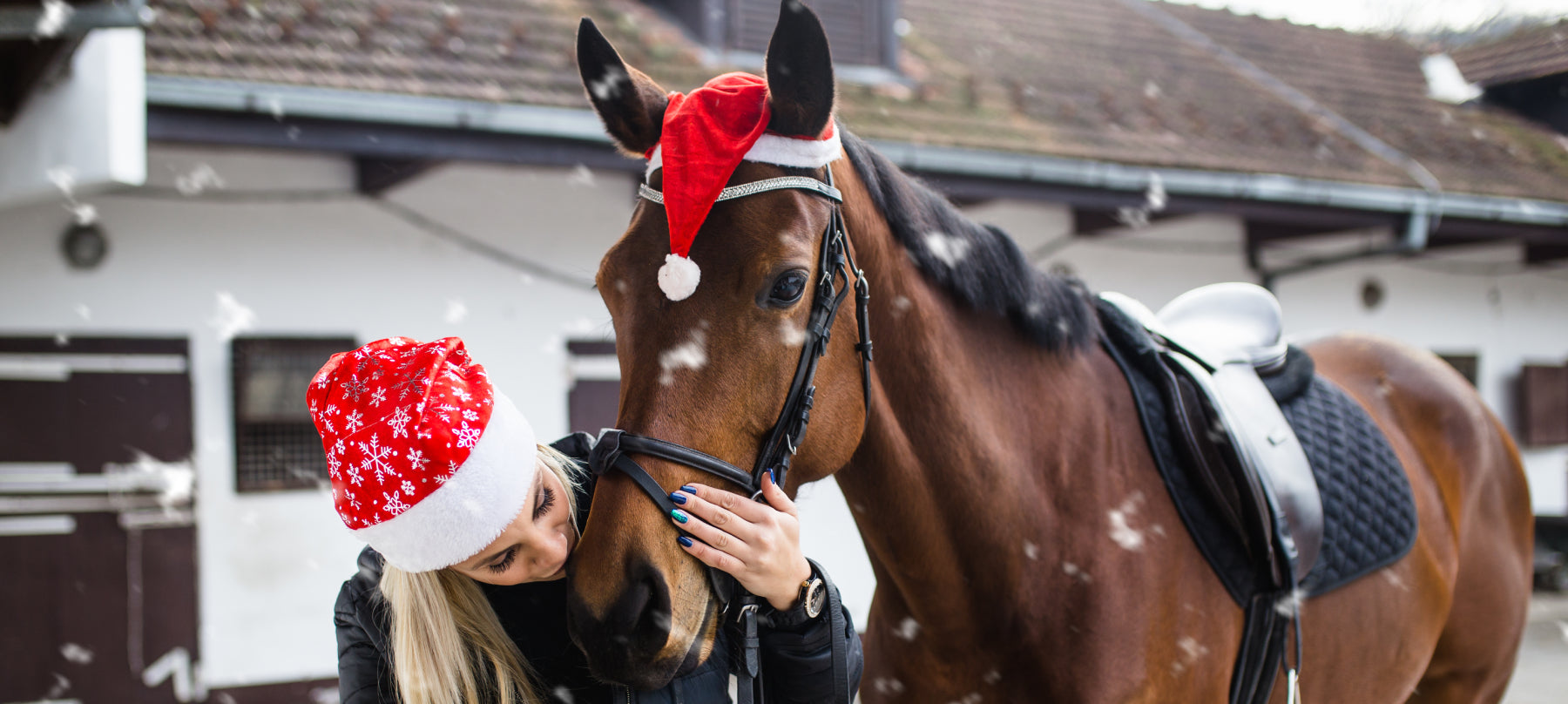 Gifts for Horse & Rider