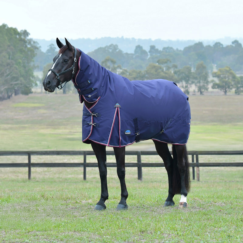 Horse in a field wearing a Weatherbeeta rug