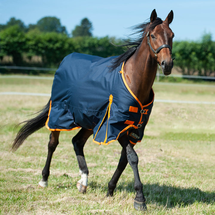 The Gallop Trojan Classic 100g Lightweight Standard Turnout Rug in Navy#Navy
