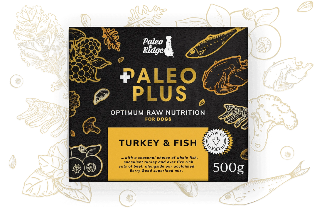 Paleo Ridge Paleo Plus Turkey & Fish