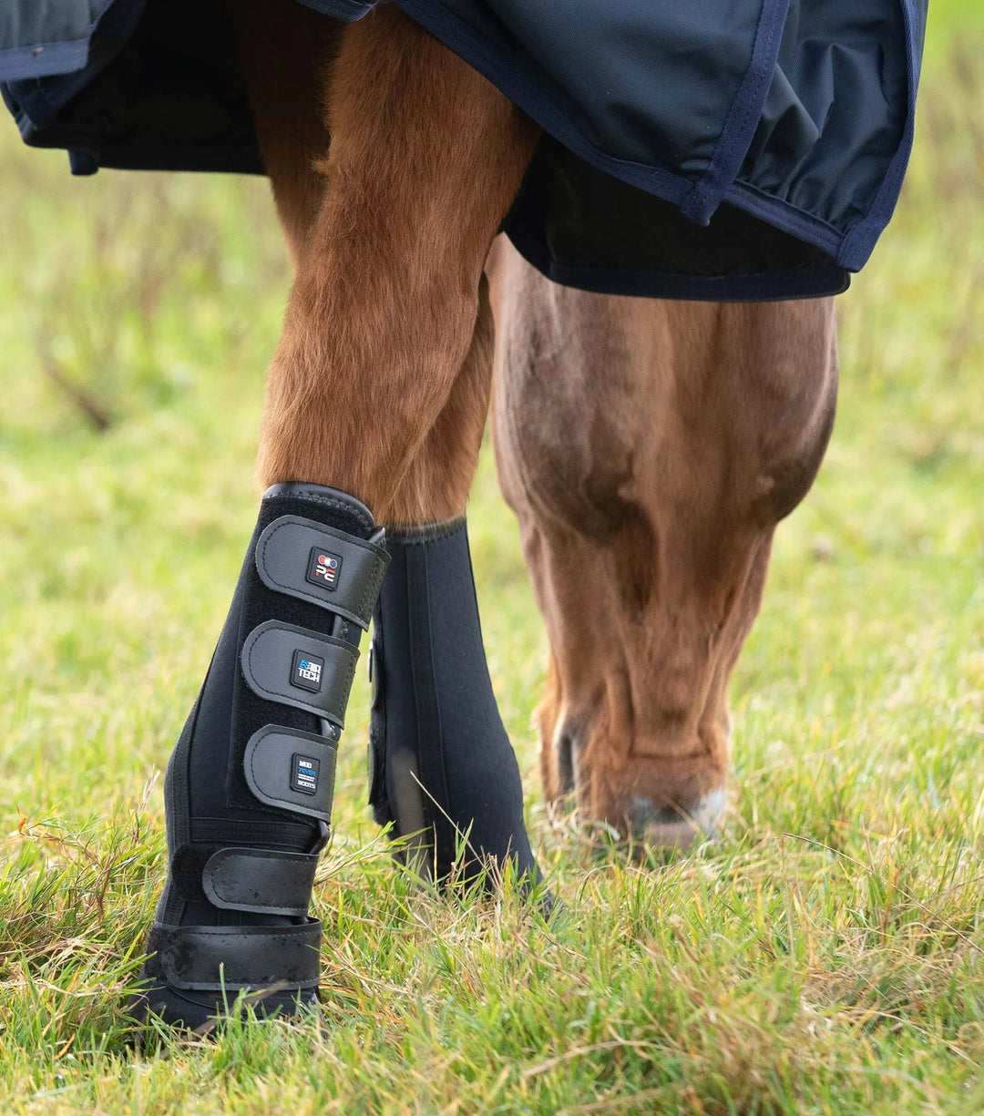Equine splint boots best sale