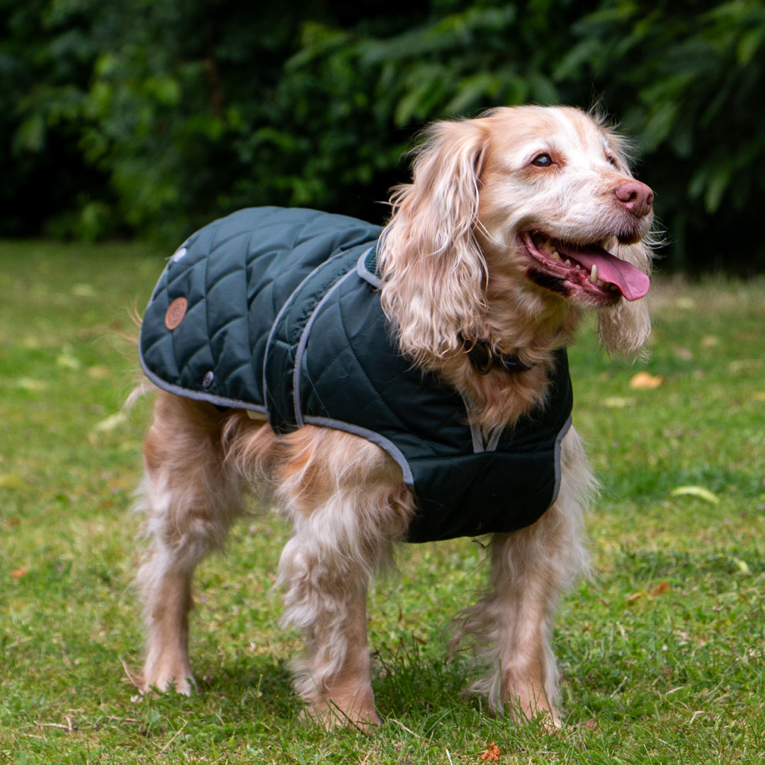 Ancol Heritage Quilt Dog Coat