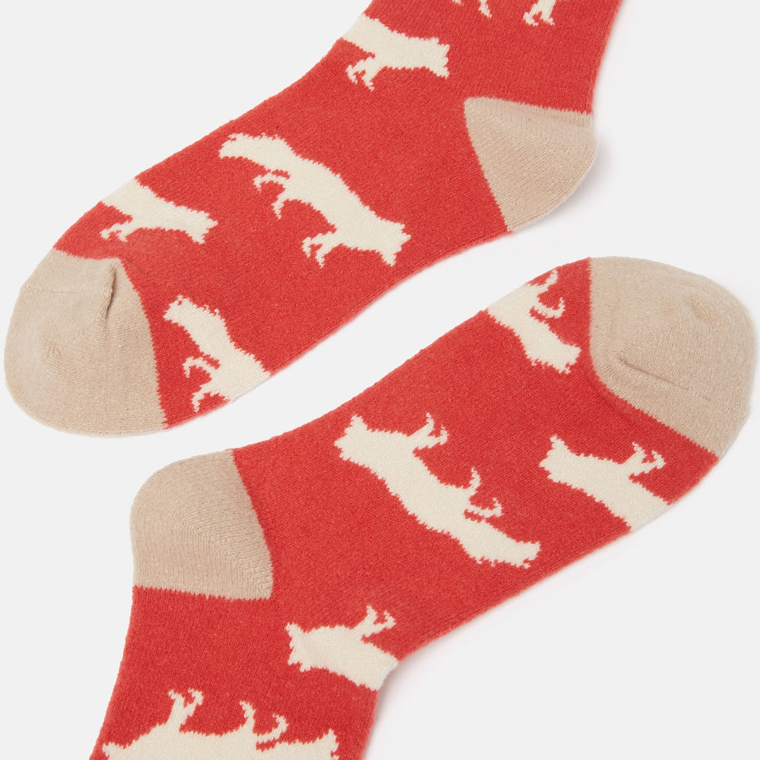 Joules Ladies Amble Socks