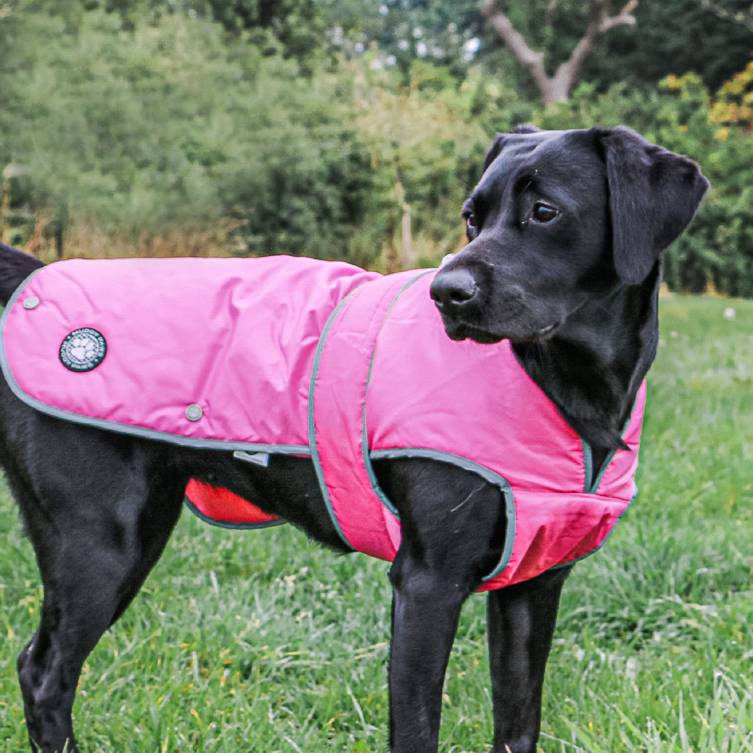 The Ancol Stormguard Dog Coat in Pink#Pink
