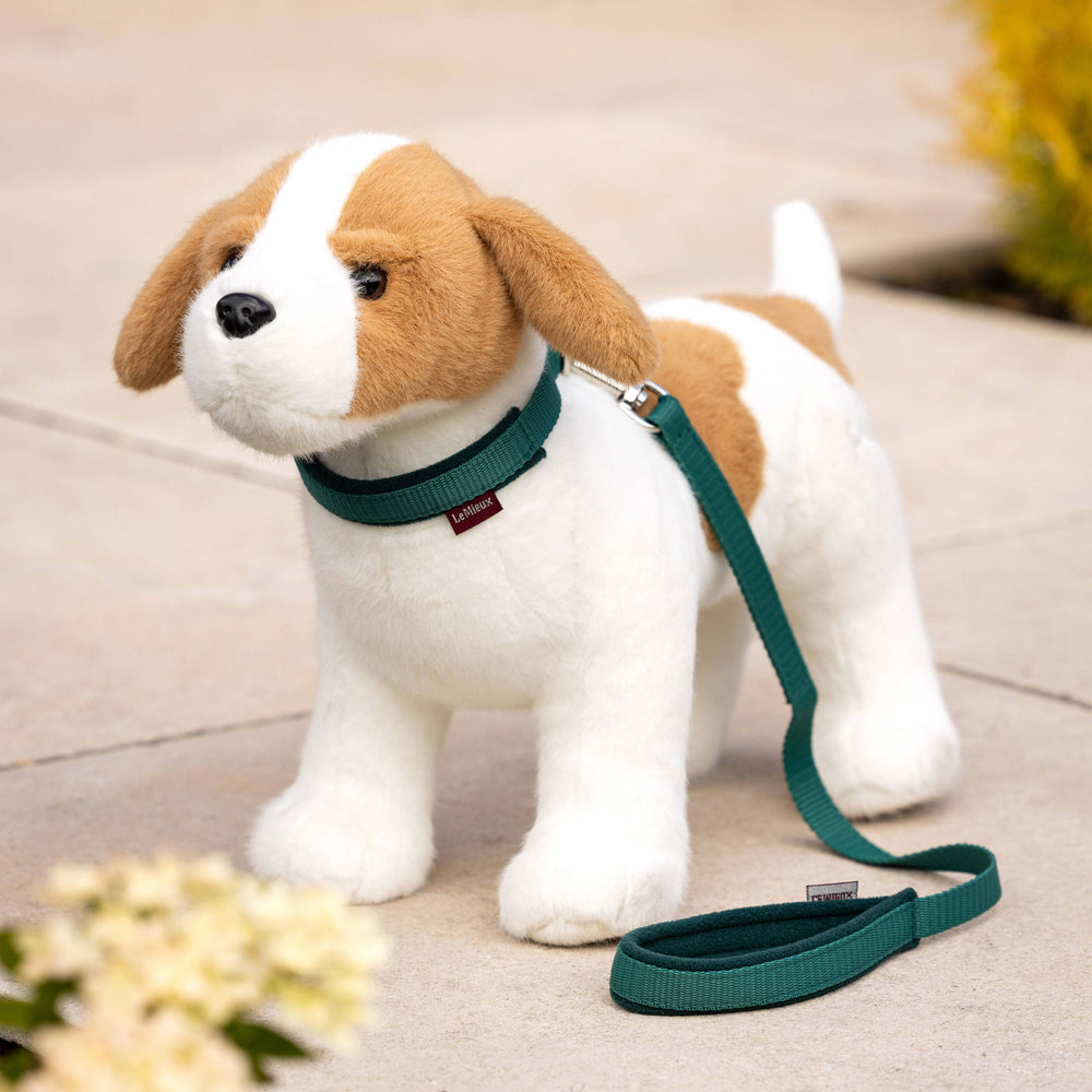 LeMieux Toy Dog Collar & Lead