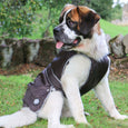 Ancol Stormguard Dog Coat