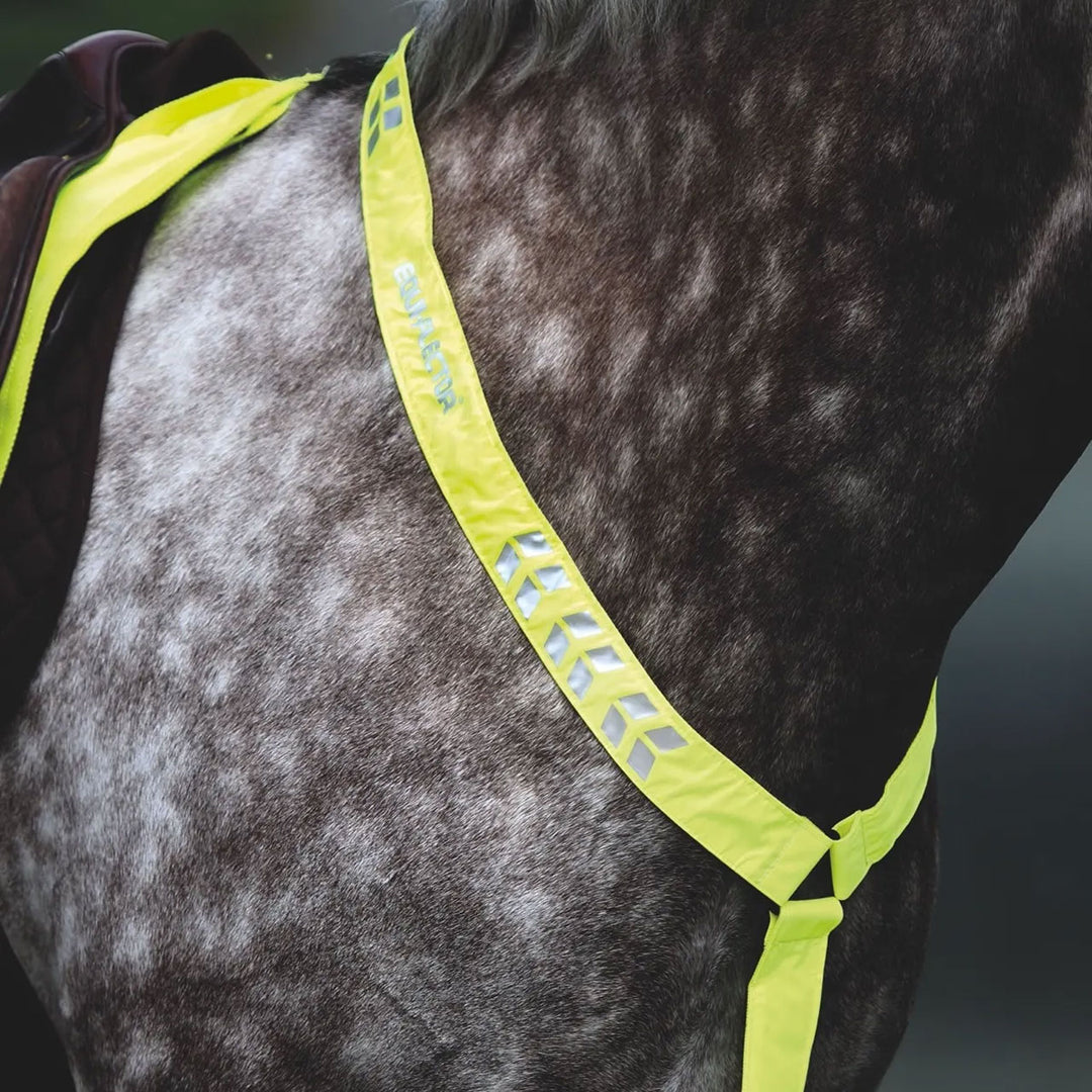 Equi-Flector Breastplate