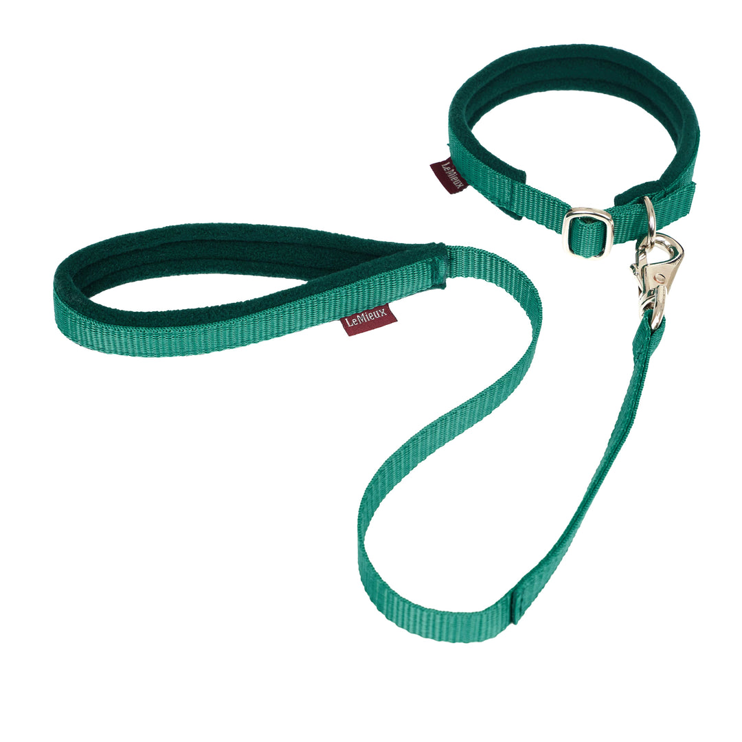 The LeMieux Toy Dog Collar & Lead in Evergreen#Evergreen