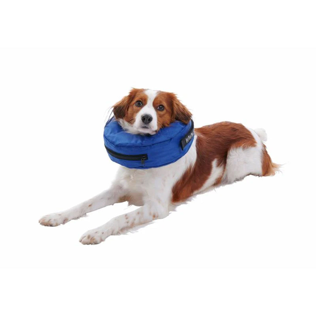 Buster Inflatable Collar