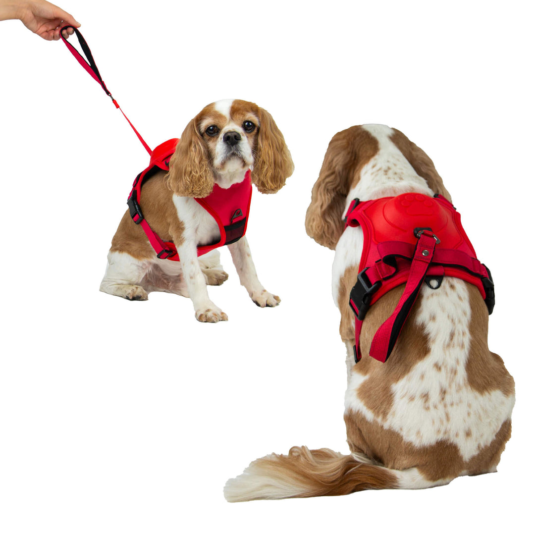 Ancol Extreme Hybrid Dog Harness
