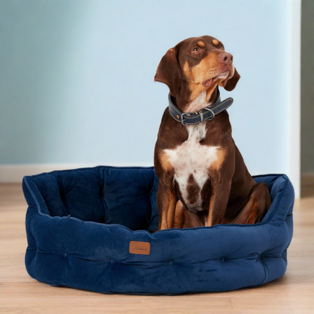 Joules Velvet Chesterfield Dog Bed Millbry Hill