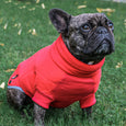 Dog wearing a gray coat with 'Snug Fit' logo on a white background
